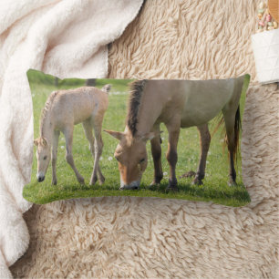 Almofada Lombar Cavalo de Przewalski e Espuma de Foal