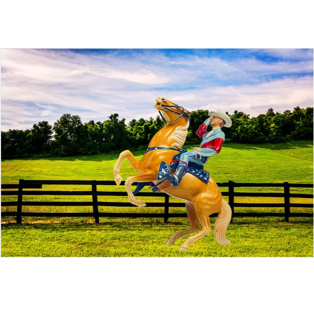 Almofada Lombar Cavalo e Cowboy (Criador carregado)