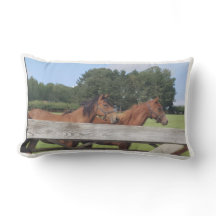 Cavalos na Natureza