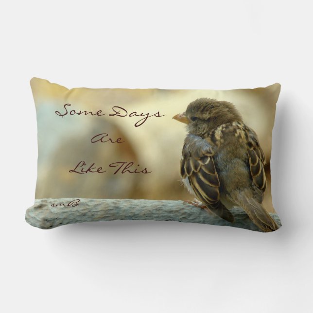 Almofada Lombar Certos dias são como este, travesseiro do (Frente)