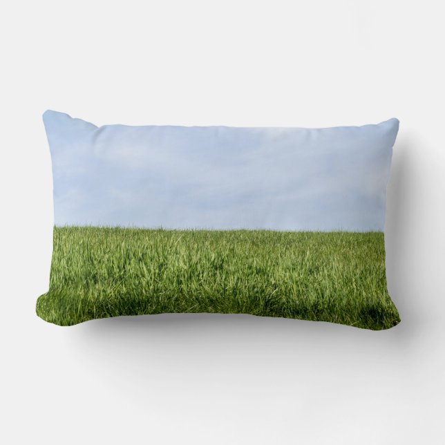 Almofada Lombar Céu Azul E Grama Verde (Frente)