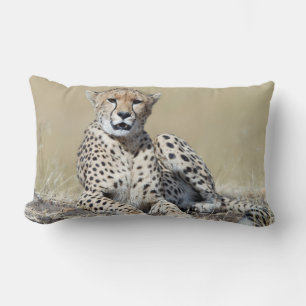 Almofada Lombar Cheetah