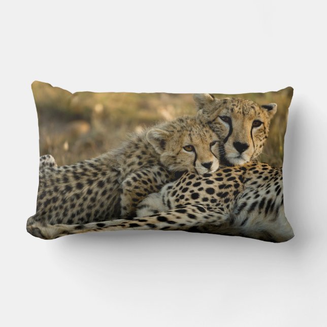 Almofada Lombar Cheetah Cub Inundado com sua mãe (Frente)