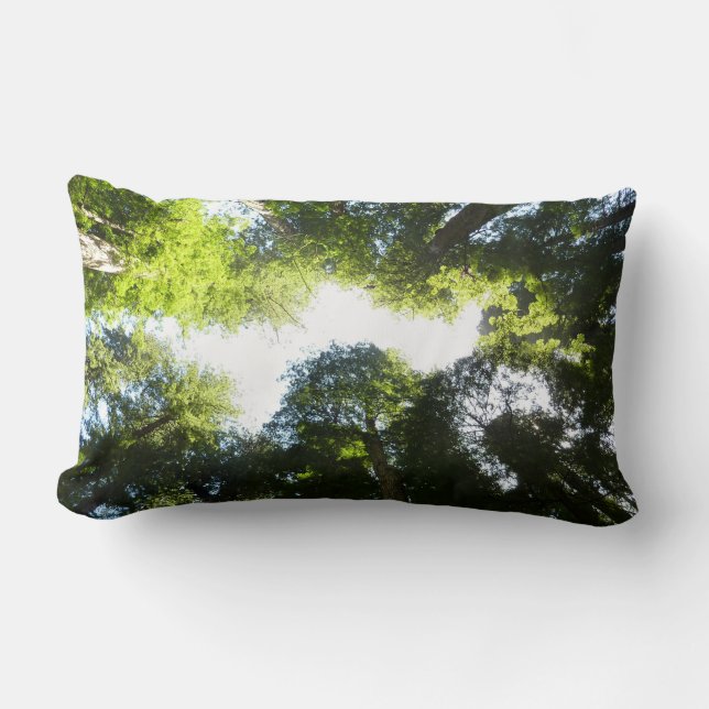 Almofada Lombar Círculo de Sequoias Vermelhas no Parque Nacional d (Frente)