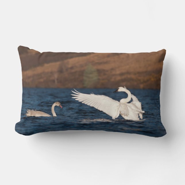 Almofada Lombar Cisne Flapping (Frente)