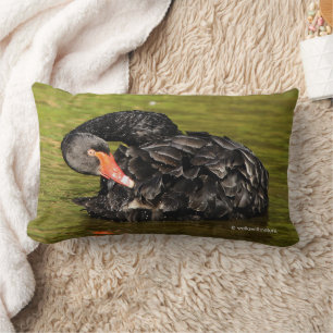 Almofada Lombar Cisne Negro no Pond