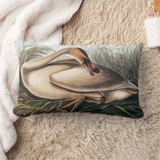 Almofada Lombar Cisne Trombeteiro por John James Audubon