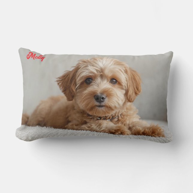 Almofada Lombar Classy Doodle Personalizado (Frente)