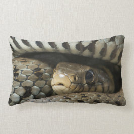 Almofada Lombar Cobra