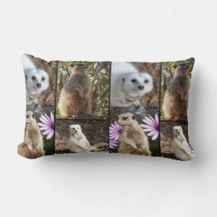 Almofada Lombar Colagem de Fotos de Meerkat, Lumbar Cushion.