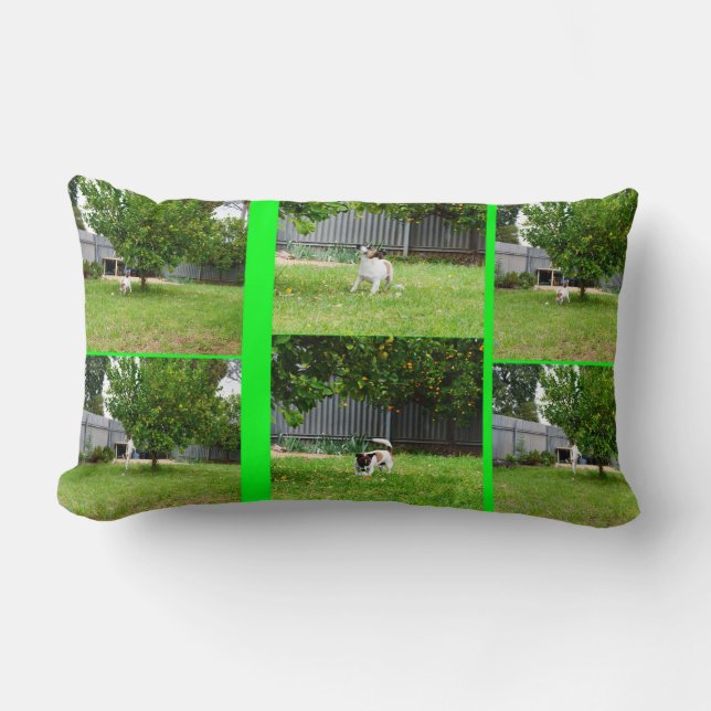 Almofada Lombar Colagem Foto Foto Fox Terrier, Cushion lombar. (Frente)