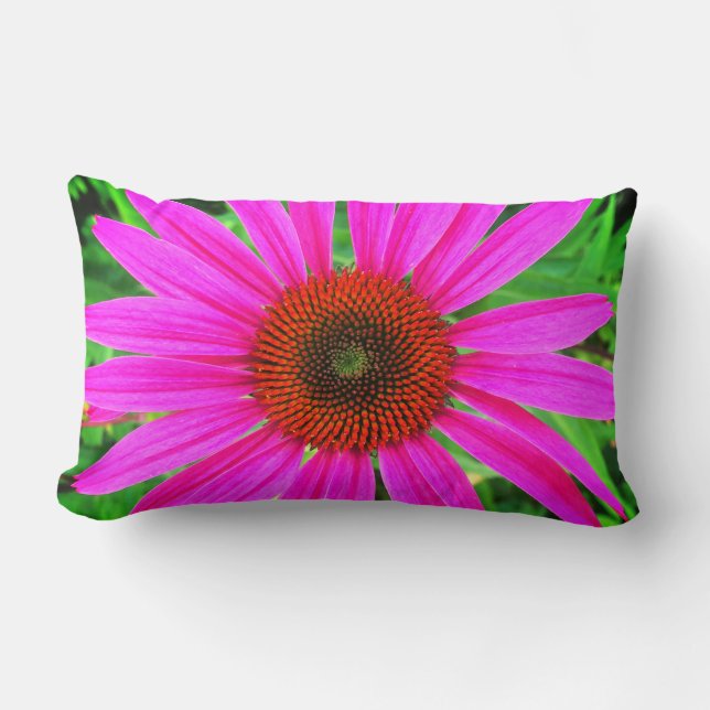 Almofada Lombar Cor-de-rosa vívido e vermelho (Frente)