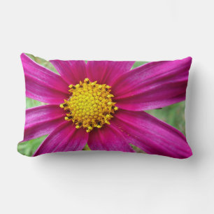 Almofada Lombar Cosmos Wildflower