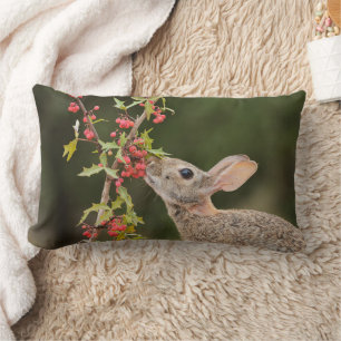 Almofada Lombar Cottontail oriental   Sul do Texas