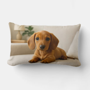 Almofada Lombar Cozy Dachshund