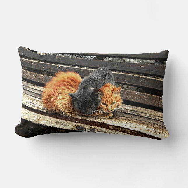 Almofada Lombar Cuecas Catnap (Frente)