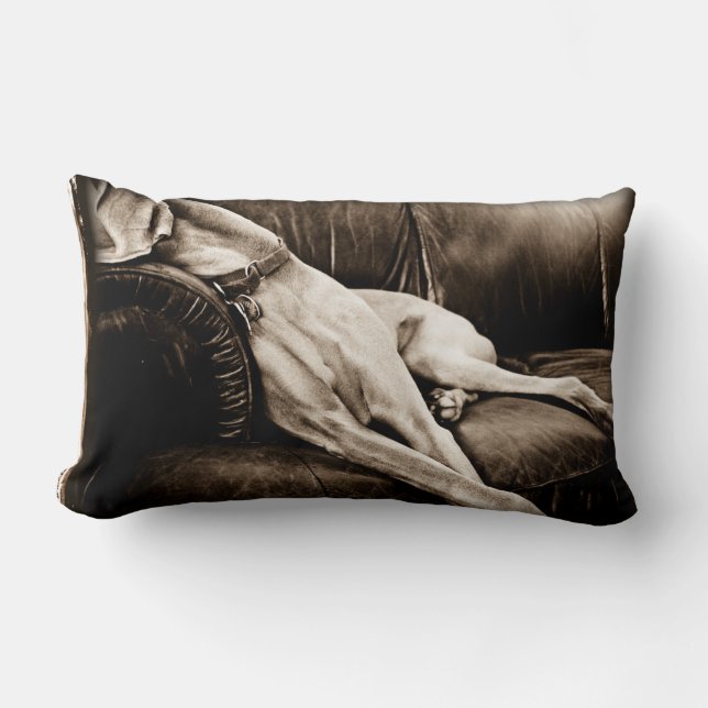 Almofada Lombar © da nação de Weimaraner: "Tomando sobre o sofá " (Frente)