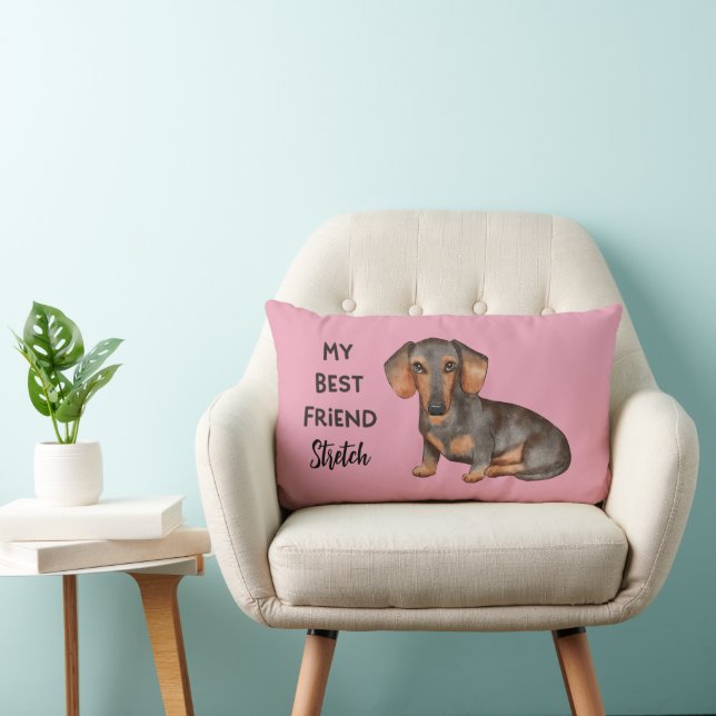 Almofada Lombar Dachshund Meu Melhor Amigo Nome Personalizado De P (Cadeira)