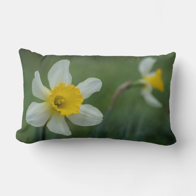 Almofada Lombar Daff-o-dilly! (Frente)