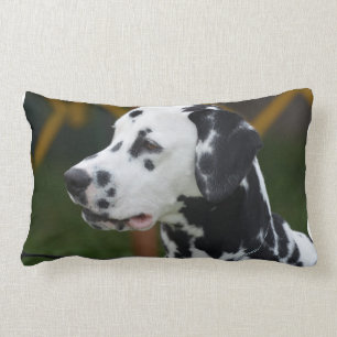 Almofada Lombar Dalmatian com pontos