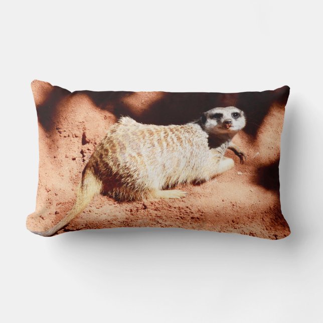 Almofada Lombar Descobertas empoeiradas: Meerkat com saia no seu n (Frente)