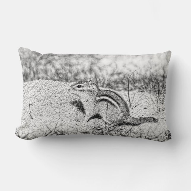 Almofada Lombar Desenho do Chipmunk (Frente)
