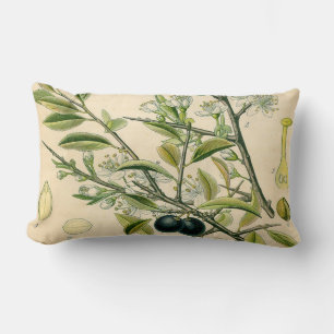Almofada Lombar Desenho Floral Antiquado De Impressão Botânico