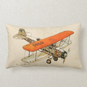 Almofada Lombar Design da aviação
