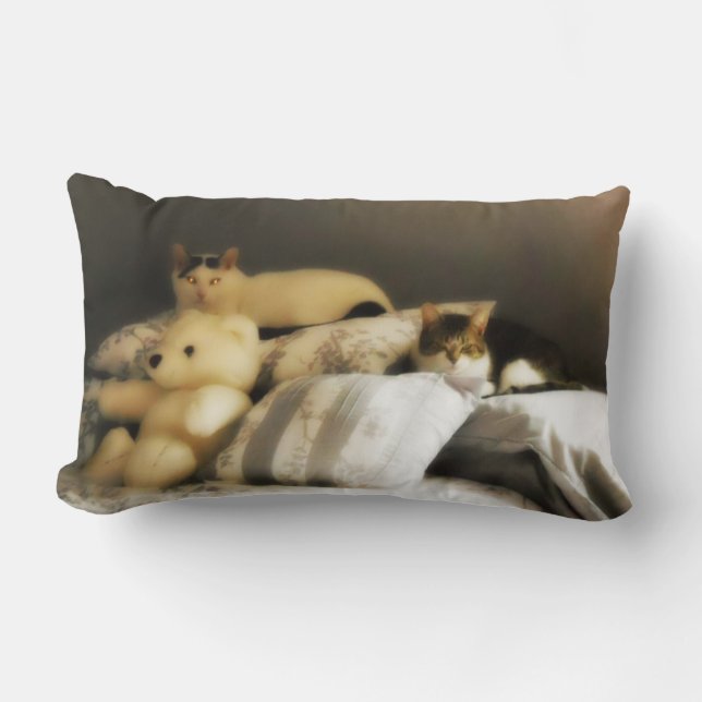 Almofada Lombar Dois Gatos com Urso de Teddy Recheado (Frente)