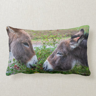 Almofada Lombar Donkeys,