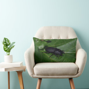 Almofada Lombar Dorcus parallelipipedus , o escaravelho inferior