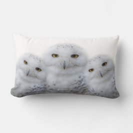 Almofada Lombar Dreamy Wisdom da Família Snowy Owls