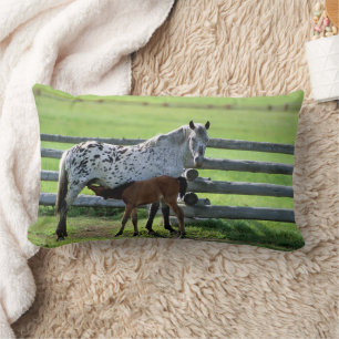 Almofada Lombar Égua Appaloosa e potro