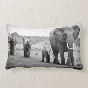 Almofada Lombar Elefante africano & vitelas   Kenya, África
