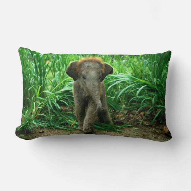 Almofada Lombar Elefante e grama (Frente)