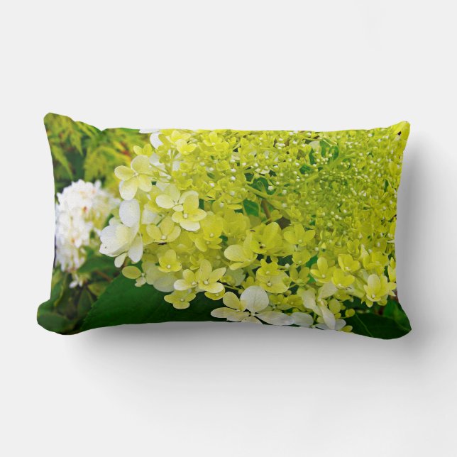 Almofada Lombar Elegante Chartreuse Verdes (Frente)