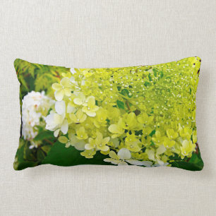 Almofada Lombar Elegante Chartreuse Verdes
