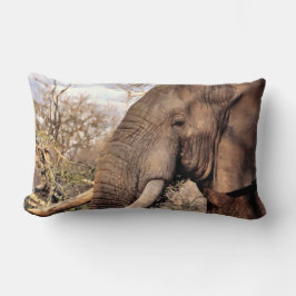 Almofada Lombar Elephant Lovers Art