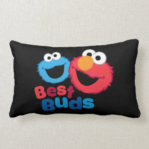 Almofada Lombar Elmo e Cookie Besties