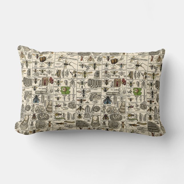 Almofada Lombar Entomologia do vintage (Frente)