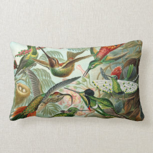 Almofada Lombar Ernst Haeckel Hummingbird - Formas de Arte da Natu