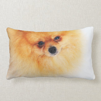 Almofada Lombar Eu estou aqui!