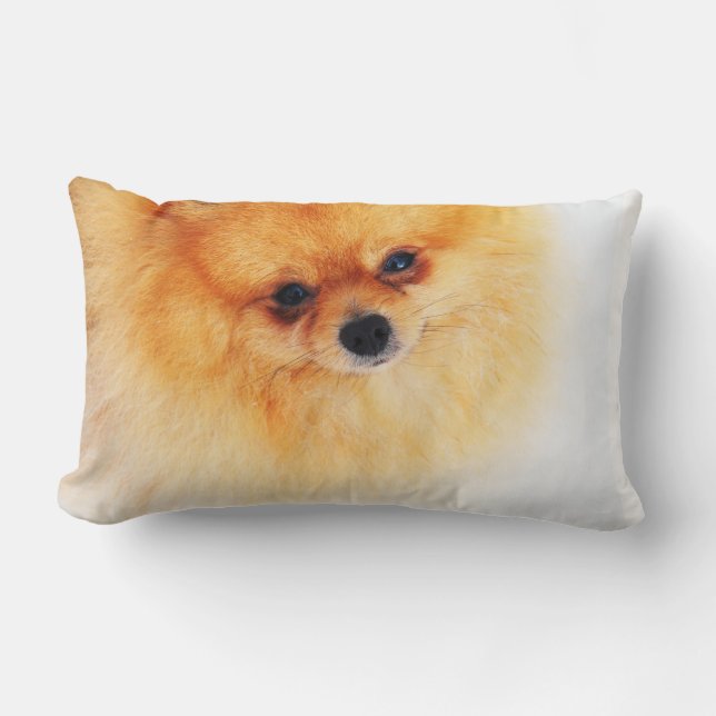 Almofada Lombar Eu estou aqui! (Frente)