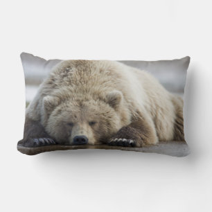 Almofada Lombar EUA, Alasca, Parque Nacional Katmai, Urso Pardo