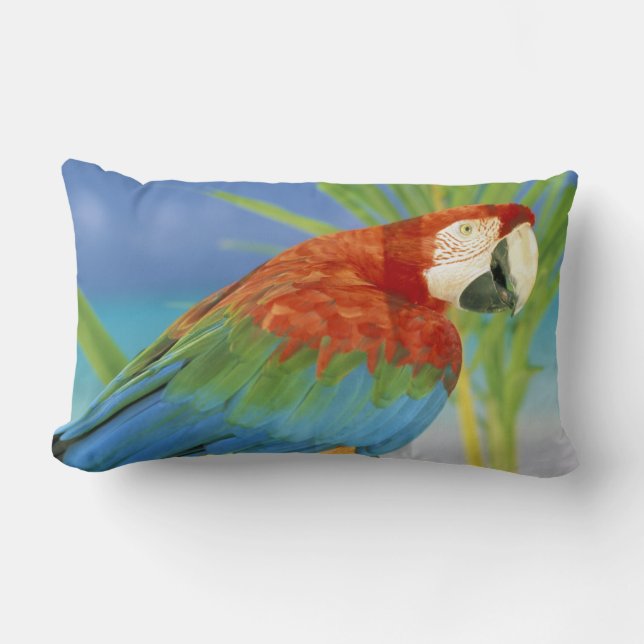 Almofada Lombar EUA, Havaí. Papagaio (Frente)