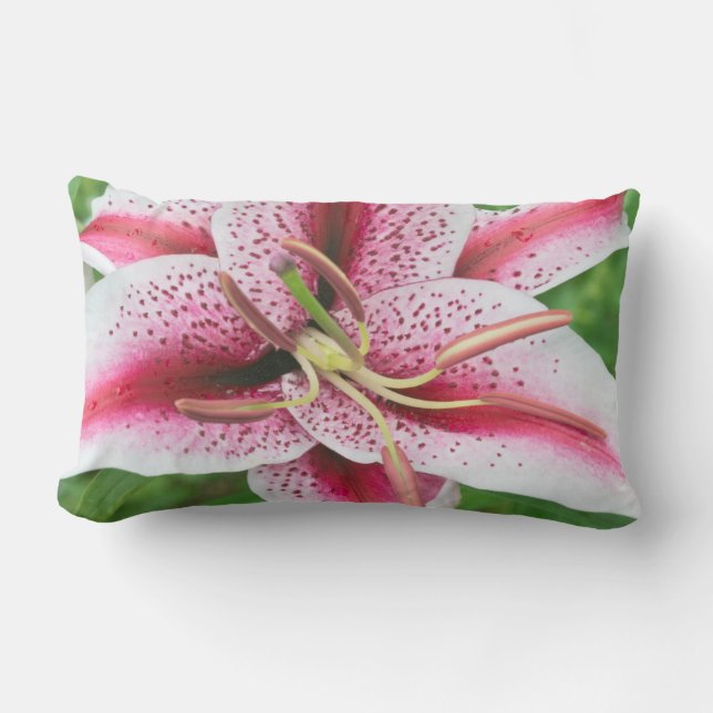 Almofada Lombar EUA, Washington, Bellevue, Lily (Frente)