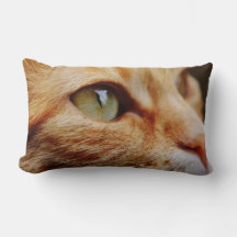 Face determinada de um gengibre