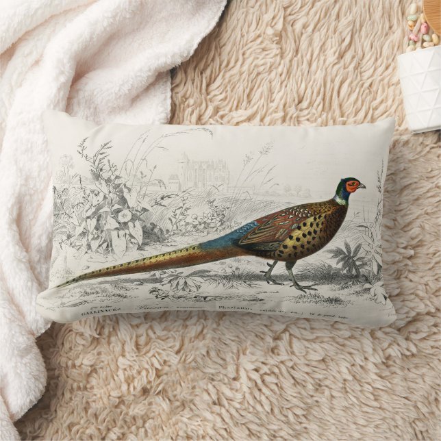 Almofada Lombar Faisão Vintage Antiquado com Anel (Cobertor)