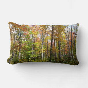 Almofada Lombar Fall Forest I Autumn Landscape Photoshop