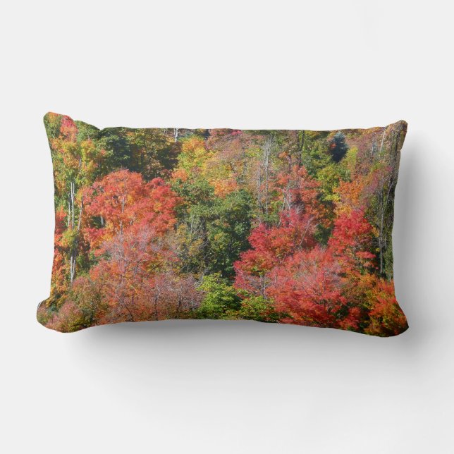 Almofada Lombar Fall Hillside Colorter Autumn Nature Fotografia (Frente)